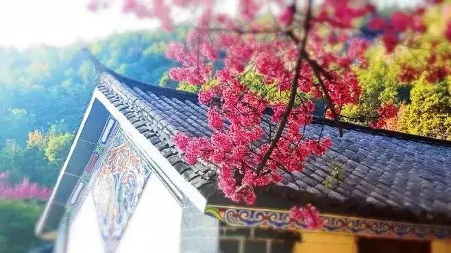 古代家风家训的小故事,古代家规家训家风