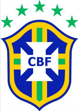 世界杯巴西和塞尔维亚,巴西世界杯哥斯达黎加对意大利