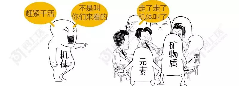 白开水矿泉水纯净水哪种水较好,喝什么水健康纯净水还是白开水