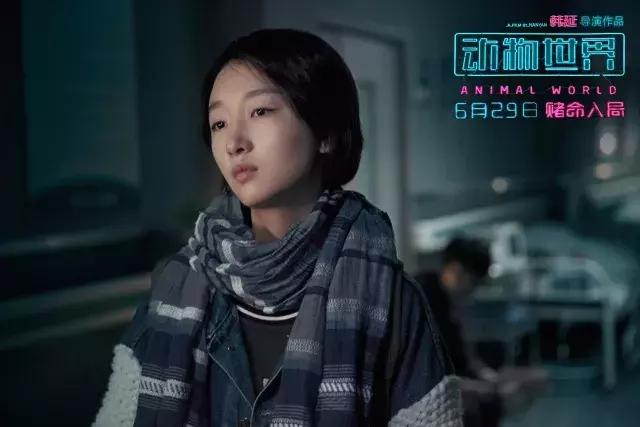 中国电影如何在世界上占一席之地,中国电影报道代言人