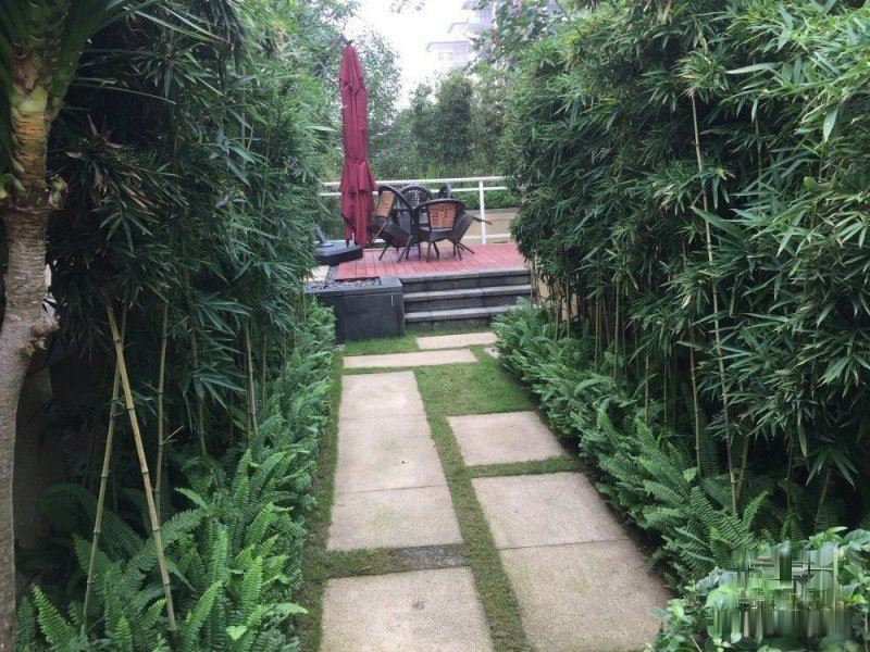 海口西海岸鲁能海蓝福源,海口西海岸高品质楼盘