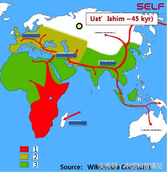 从非洲一路啪啪到东亚,我们祖先的混血史到底有多乱?