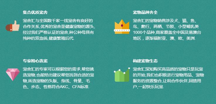 宠舍汇|打造直播电商+SAAS工具+族谱社交的宠物生态圈