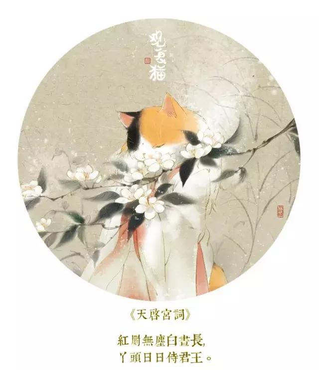 盘点中国古代猫,中国名猫有哪些猫