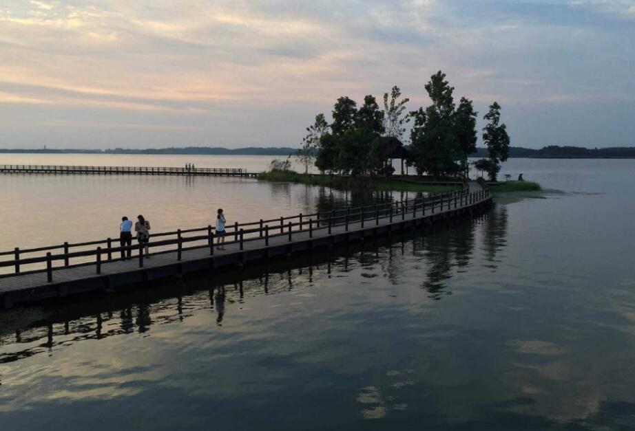 池州平天湖夏日美景,池州平天湖风景