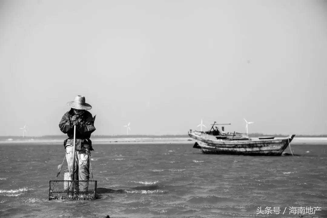 谢谢你爱我|清水湾：曾经的远方，如今的归途