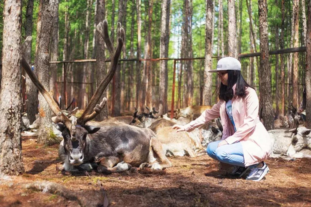 追星旅游记,追星大环线日记