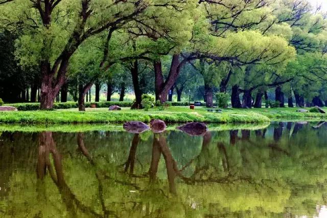 春暖花开微风吹来,春暖花开吹来阵阵花香