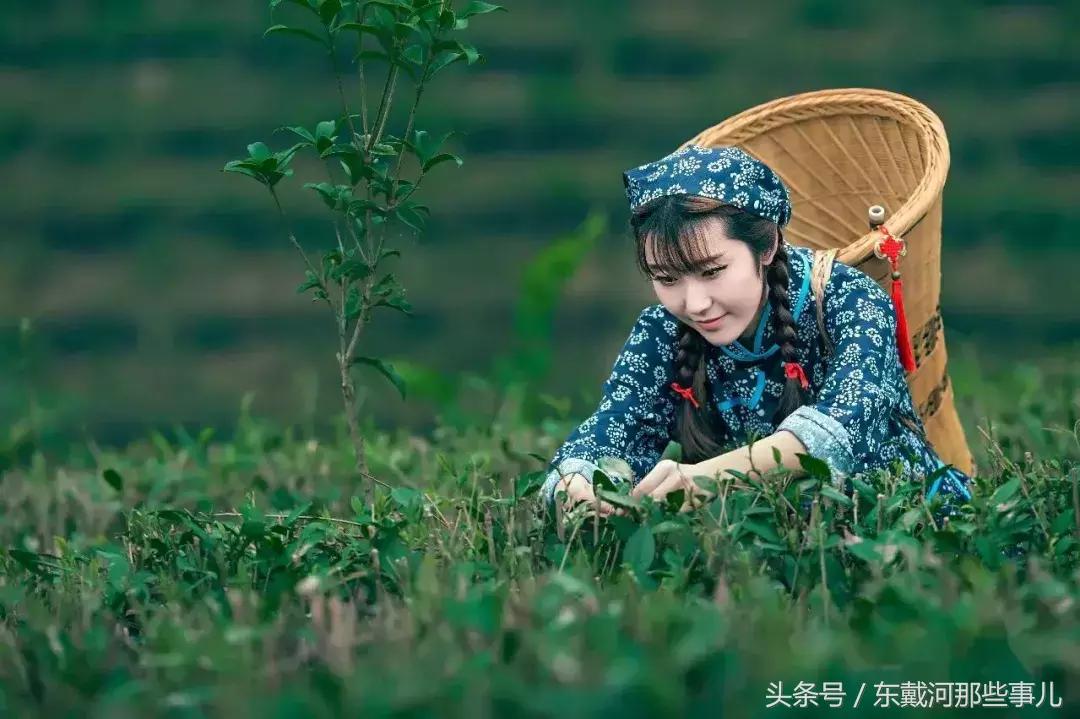 清明小长假旅游推荐,清明假期适合1-2天短途旅游