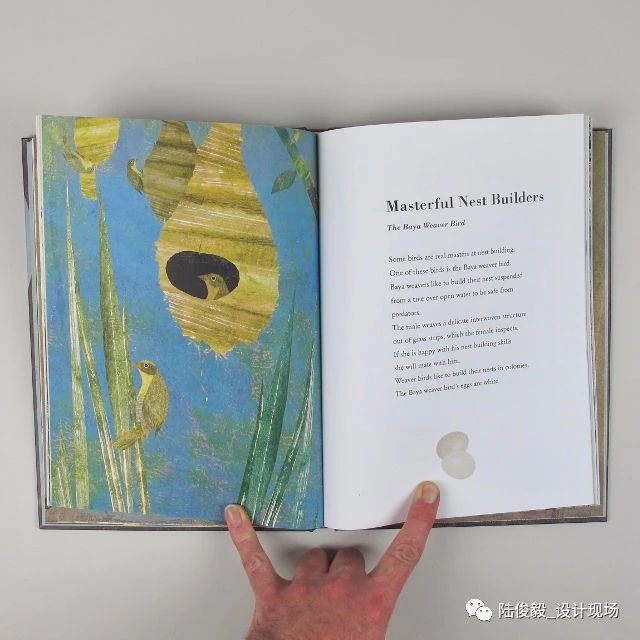 国际获奖26本绘本,2019年最佳绘本