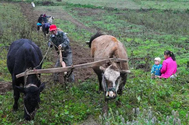 戏说陕西,戏说安徽