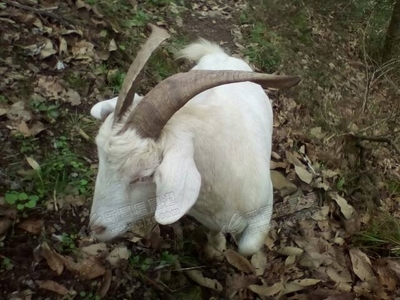 美丽浙江——青田县