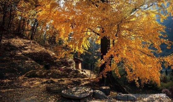 武汉2020五一周边自驾一日游,武汉五一自驾周边游推荐2022