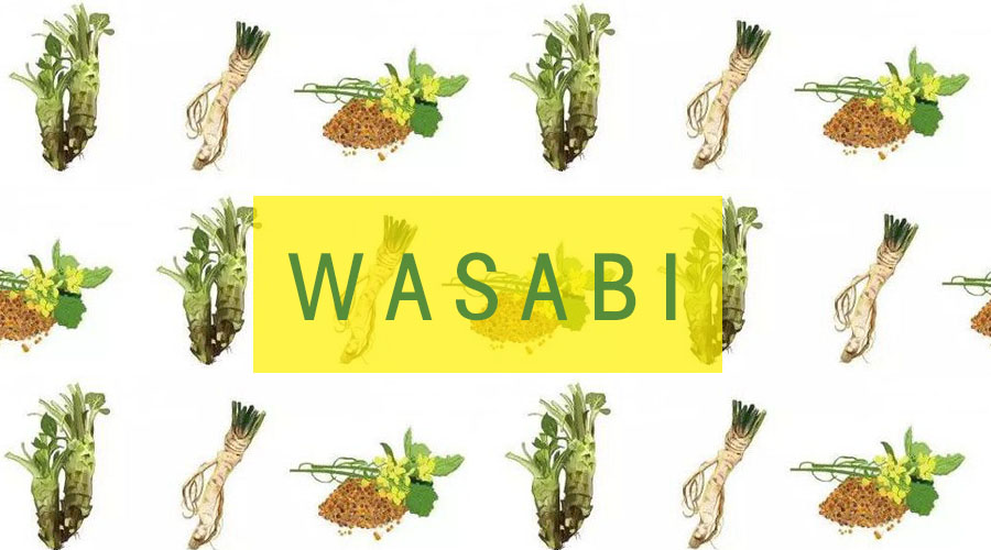 我们吃的芥末不是真正的芥末吗,买的芥末是真的芥末吗