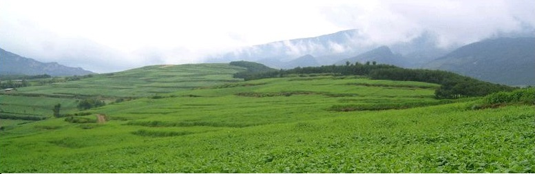 临淄：这家小店引进了两件宝贝，好喝！