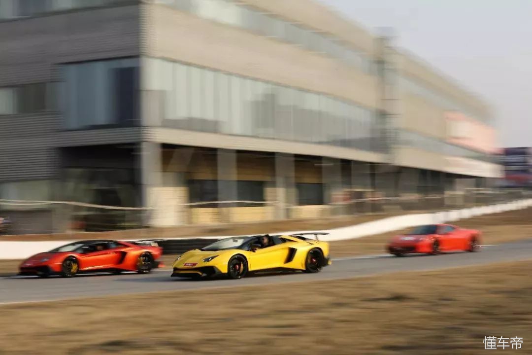 我和春天有个约会,我和春天有个约会阅读