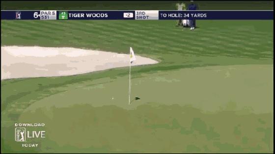 攻果岭如何停球,能停球的假果岭