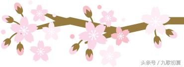 雅安桃花岛桃花开了没有,雅安桃花岛景区