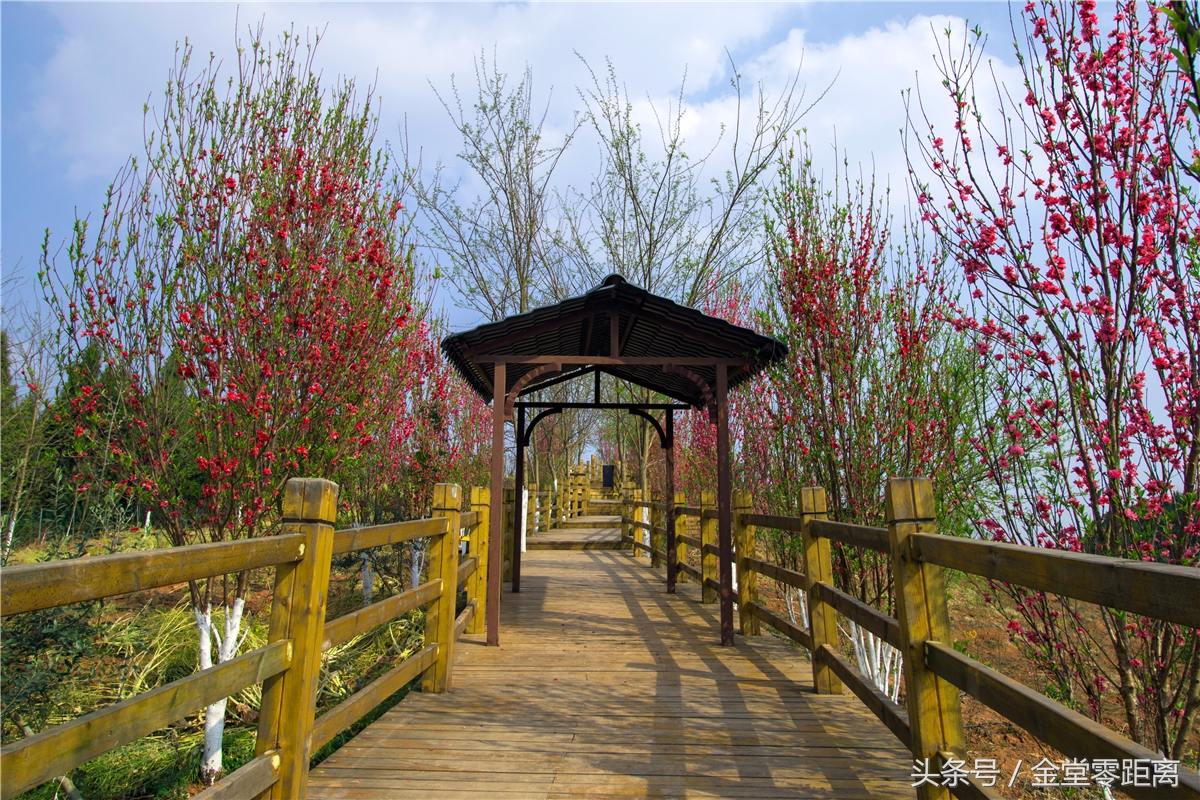 金堂玉皇山生态康养,金堂县玉皇养生谷详细介绍