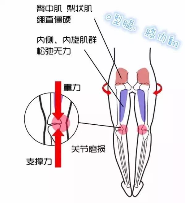 不管XO，轻松几个动作让你收获一双“维秘腿”！