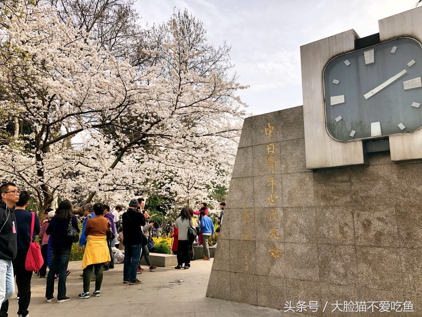 上海都市频道我和春天有个约会,与春天来个最美的约会