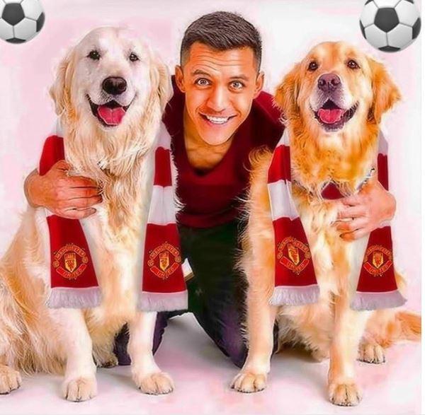 足坛巨星欢度爱狗节!伊斯科的狗叫梅西，梅西的狗叫胡尔克
