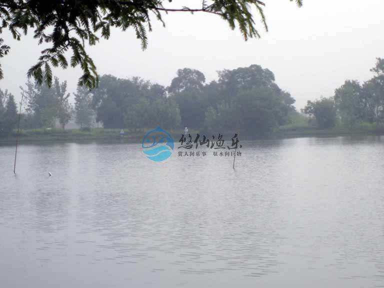 钓鱼大师谈野钓,悠仙钓鱼视频全集