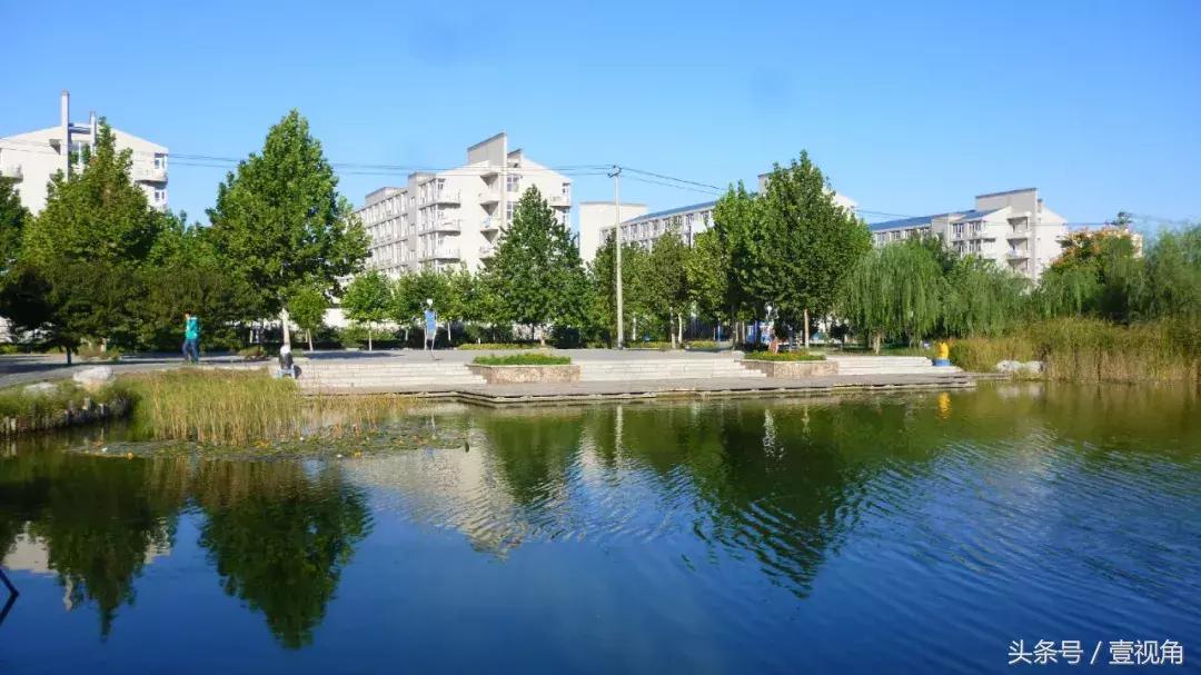 石家庄哪的公园樱花开了,石家庄樱花现在还有吗