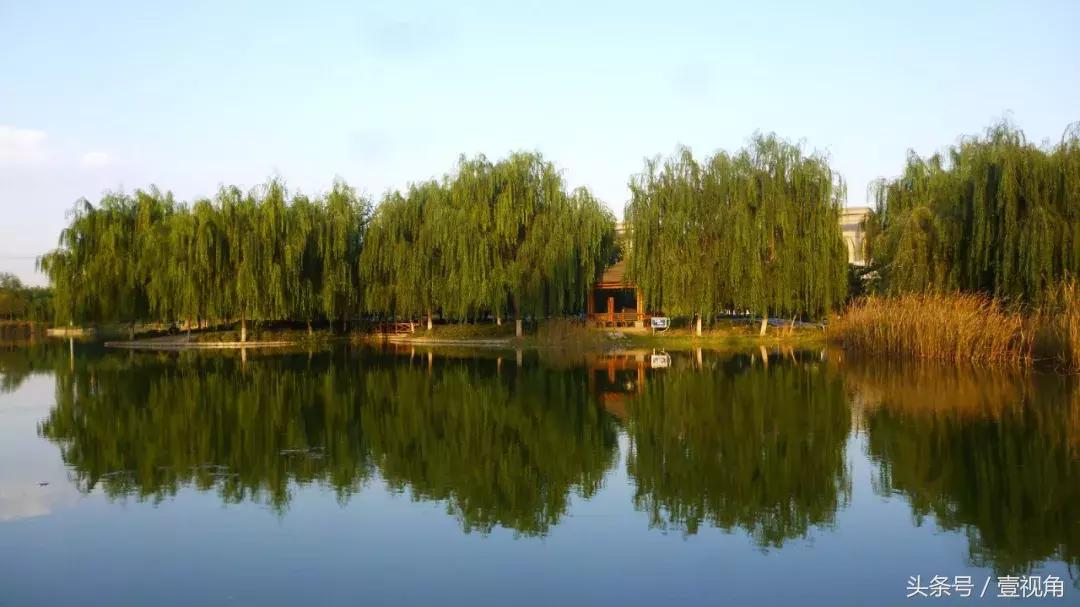 石家庄哪的公园樱花开了,石家庄樱花现在还有吗