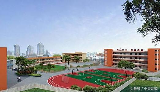 今年上中、华二、交附、复附自招考了些什么呢？