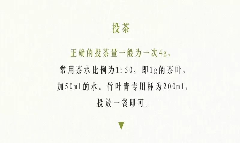 解锁春茶的多种冲泡方式,春茶上市的正确冲泡方法