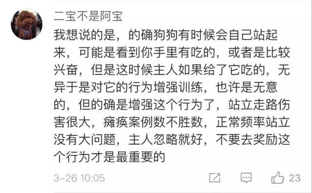 狗狗为什么直立行走,狗狗直立行走累不累