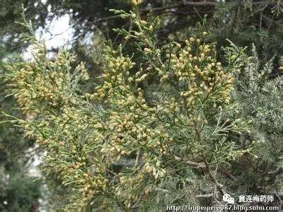 ​对付过敏性鼻炎，你需要的十八般兵器都在这里了~