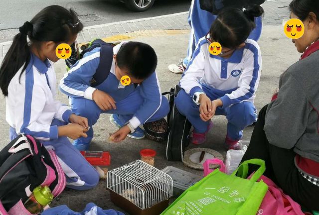 武汉仓鼠咬到小孩,小孩被小仓鼠咬伤