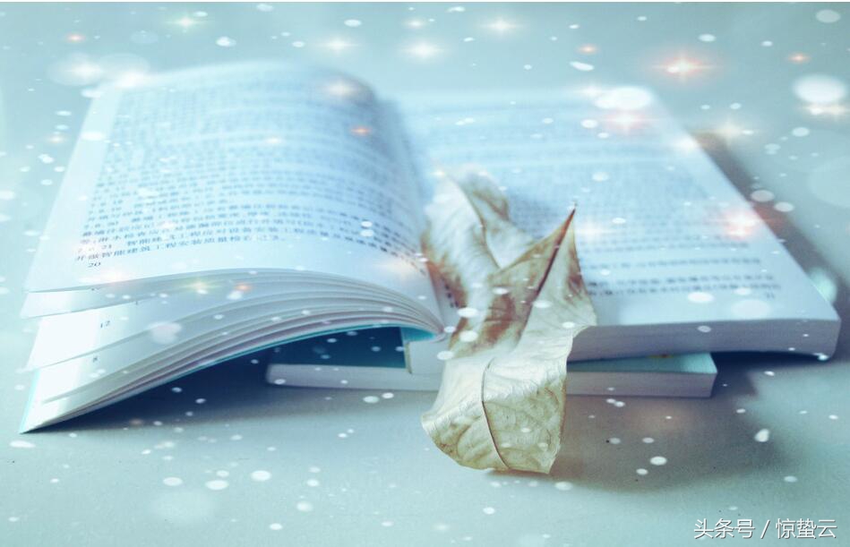 白落梅与林徽因有什么关系,如何评价白落梅的林徽因传