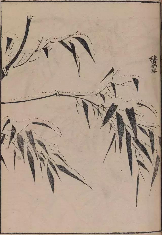 芥子园竹谱高清临摹,芥子园画谱原文