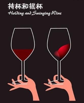 葡萄酒的常识知识大全,有关葡萄酒的知识大全