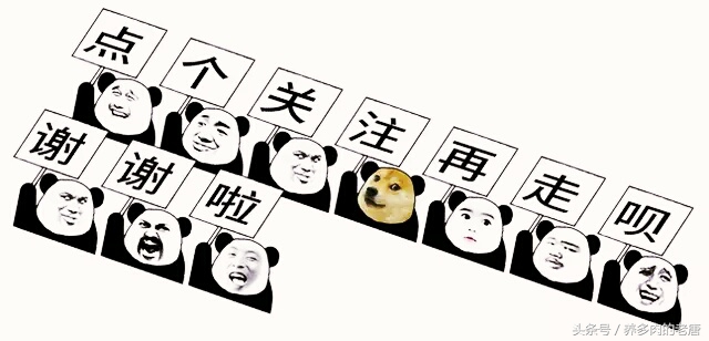 多肉杀虫气雾剂的危害,多肉杀菌杀虫最好的喷雾剂