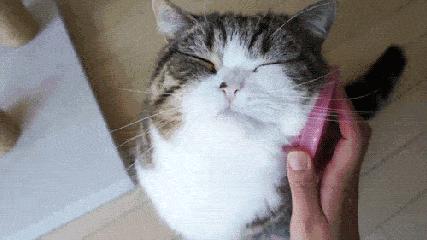 贫民窟女孩面膜,贫民窟女孩子面膜