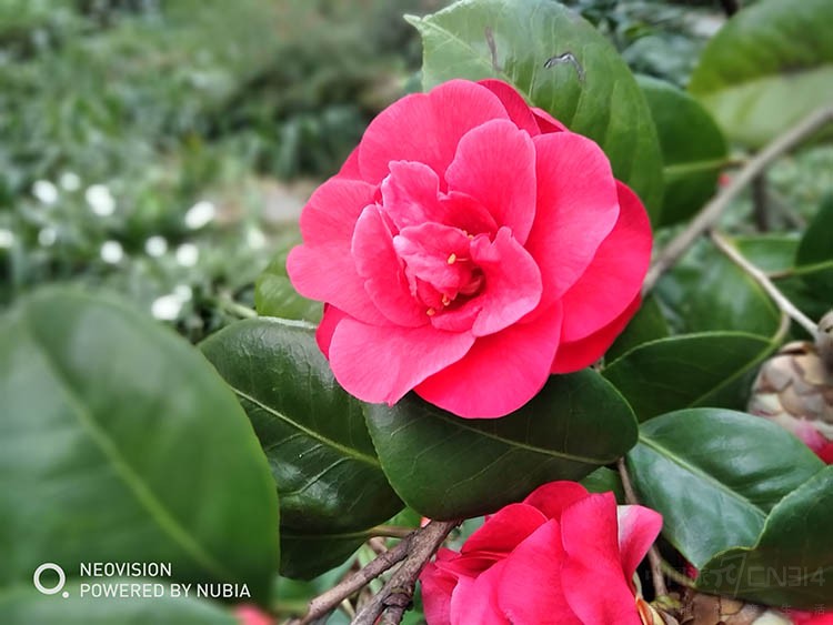 努比亚30w双口氮化镓快充测评,努比亚全面屏手机测评