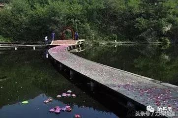 丹凤晒晒,丹凤桃花节风景