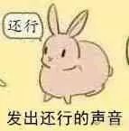 放开我的钱包啊！令猫奴闻风丧胆的种草大会！