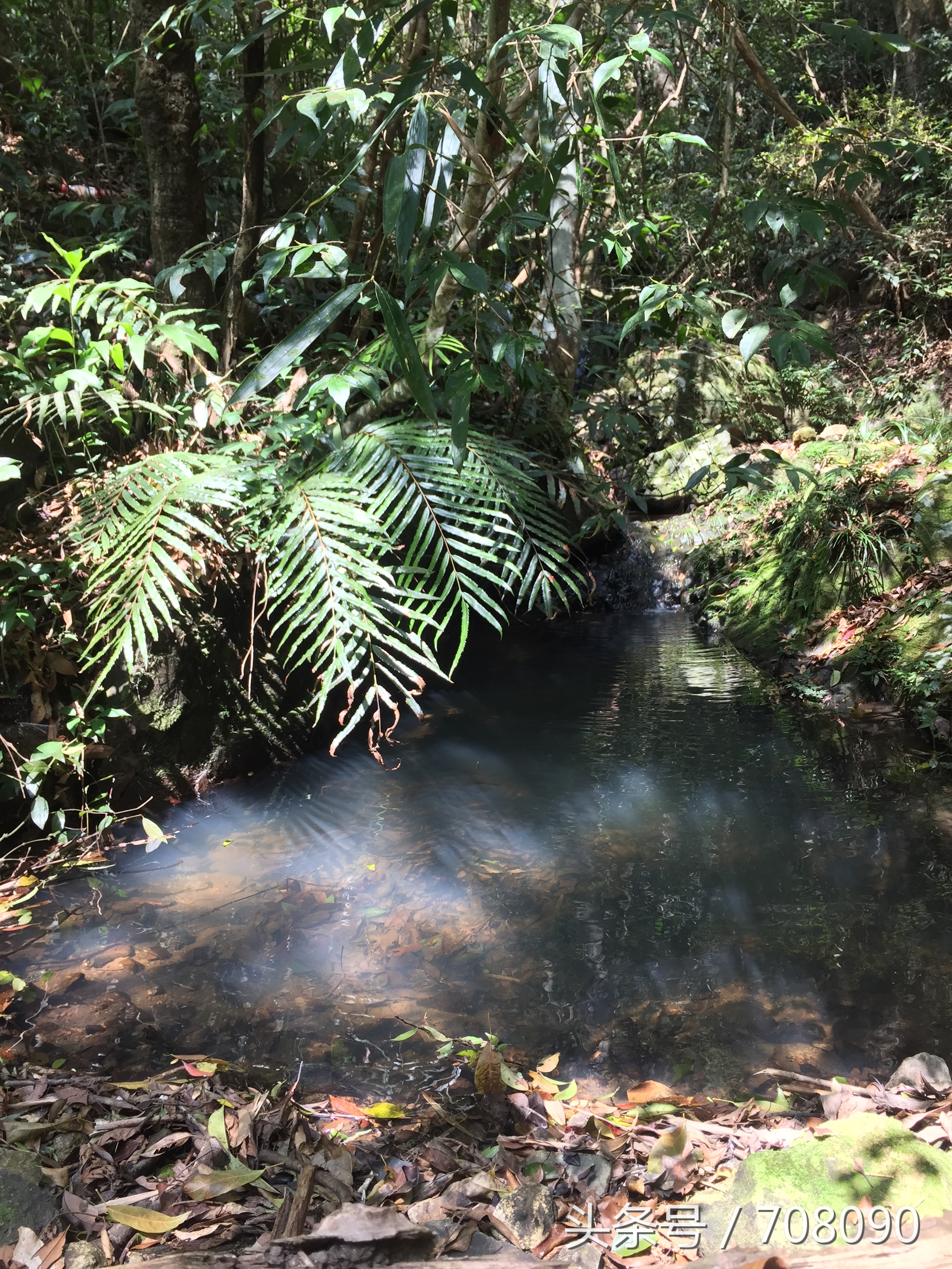 福州闽侯三叠井森林公园攻略,三叠井森林公园攻略