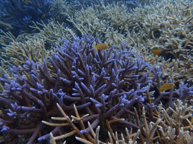 和闺蜜一起去水上世界,闺蜜一起游东湖公园