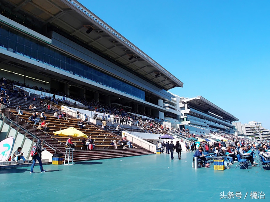 去香港赛马场，买张马票看马儿热血冲刺，超酷！（内含详细攻略）