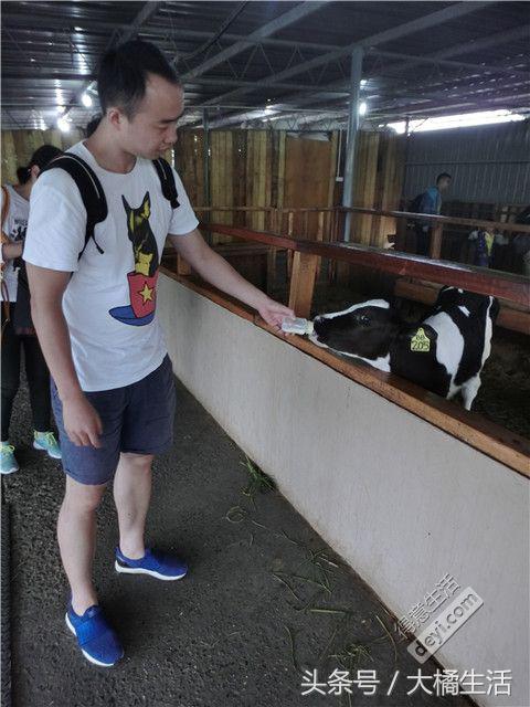 悠哉的沙巴行空气清新重要的是接机仅需1元