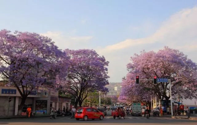 如果一定要不负*光春**不负花，选这2个地方就够了