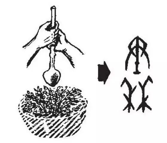 中国地理各省简称顺口溜大全 (中国各省的简称如何记忆)