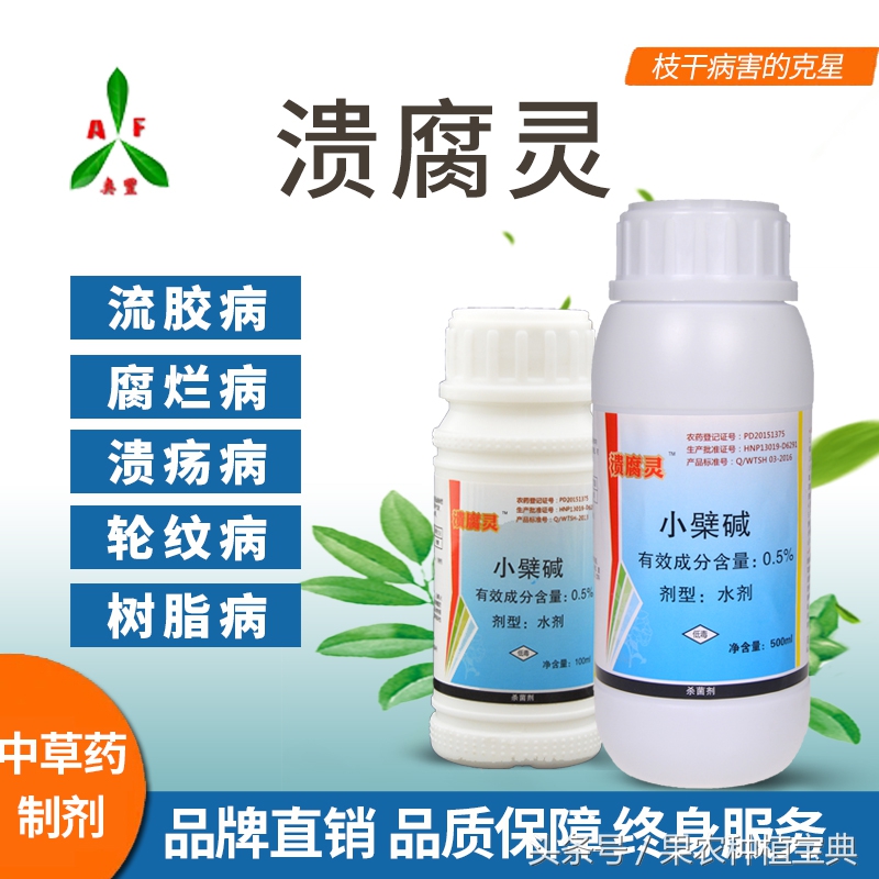 猕猴桃溃疡病最快治疗方法,猕猴桃发芽后修剪出现伤流怎么办