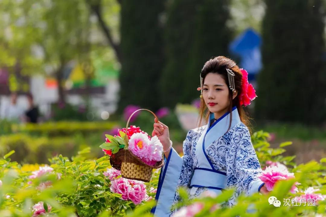 洛阳旅游攻略三天两夜赏牡丹,赏花何须去洛阳天下牡丹出襄阳